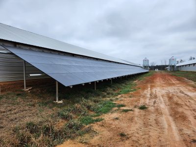 Solar for Chicken Farms, Farms, Ranchers